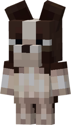 MrDog